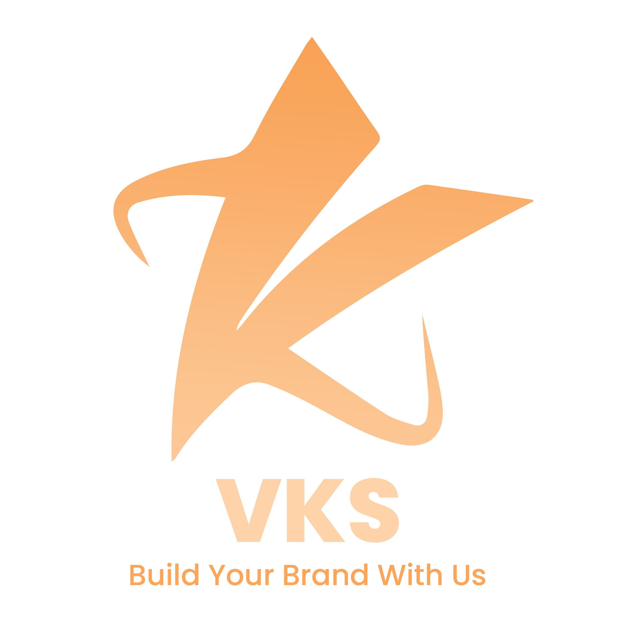 vks logo
